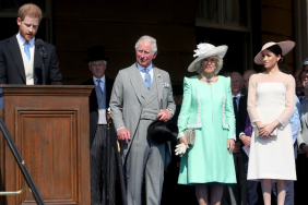 This Royal Believed Meghan Markle ‘Brainwashed’ Prince Harry, Claims Book