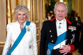 Camilla and King Charles