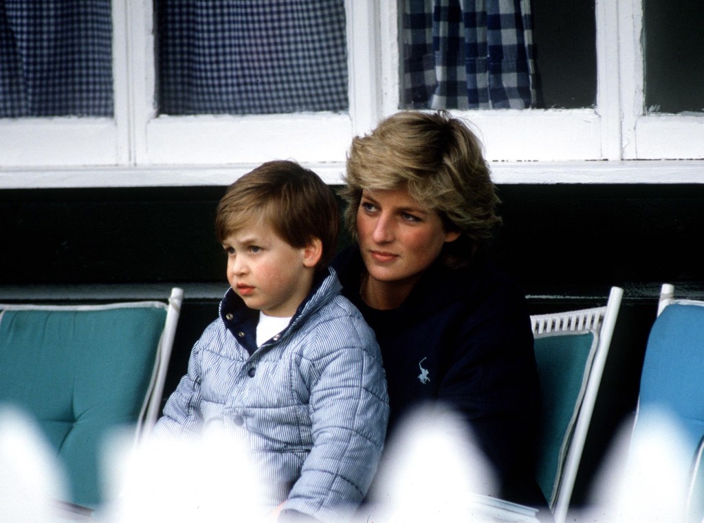 Princess Diana and Prince William 