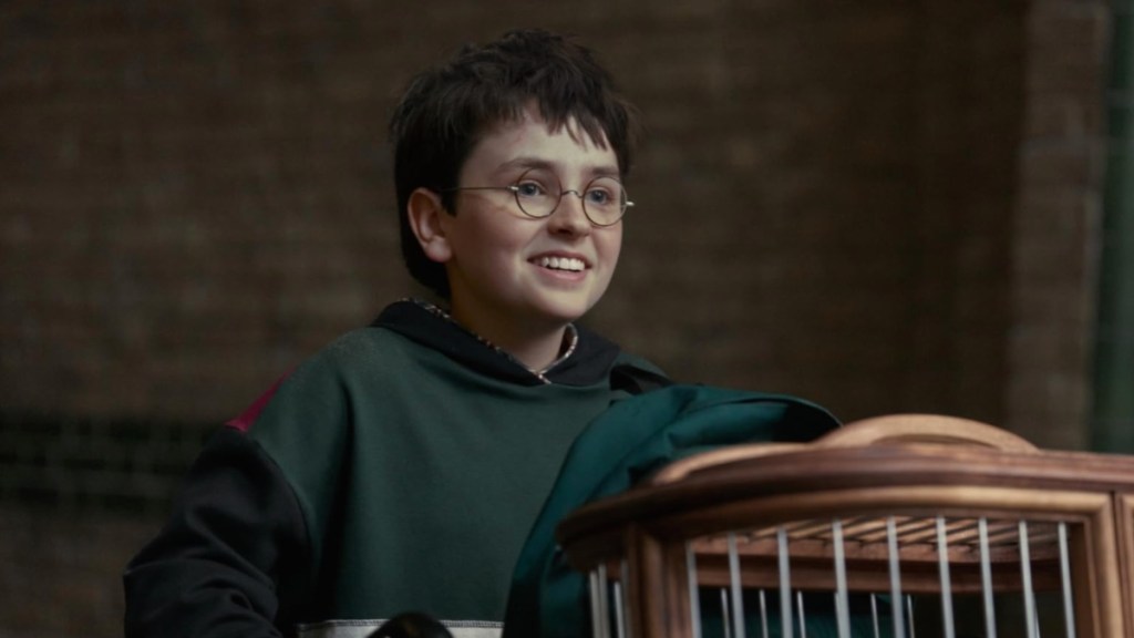 Harry Potter TV Series Trailer Casts Nostalgia Spell on Fans