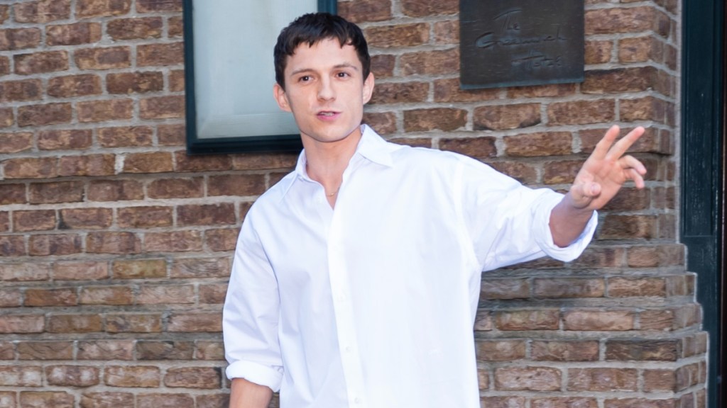 Tom Holland Steps Out With Brother Amid Marriage Rumors