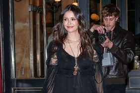 Nina Dobrev Wows in Completely Sheer Lace Dress for Chloe After-Party
