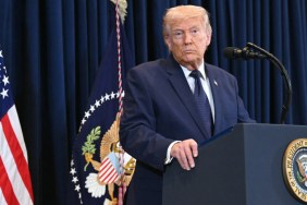 Donald Trump Endorses Jake Paul ‘Running for Political Office'