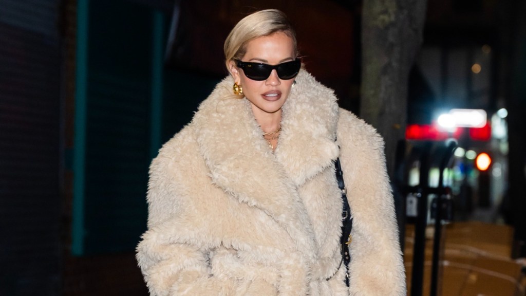 Rita Ora’s High Slit Dress Is Also Totally Backless for Mercedes Event