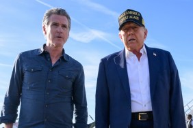 Gavin Newsom Doesn't Hold Back After Donald Trump's 'Low IQ' Comment