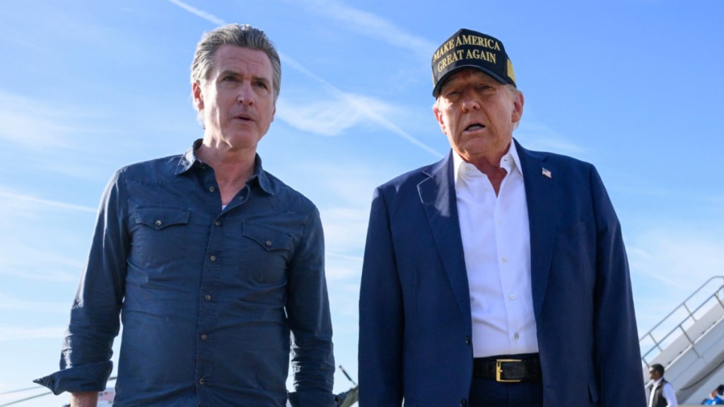 Gavin Newsom Doesn't Hold Back After Donald Trump's 'Low IQ' Comment