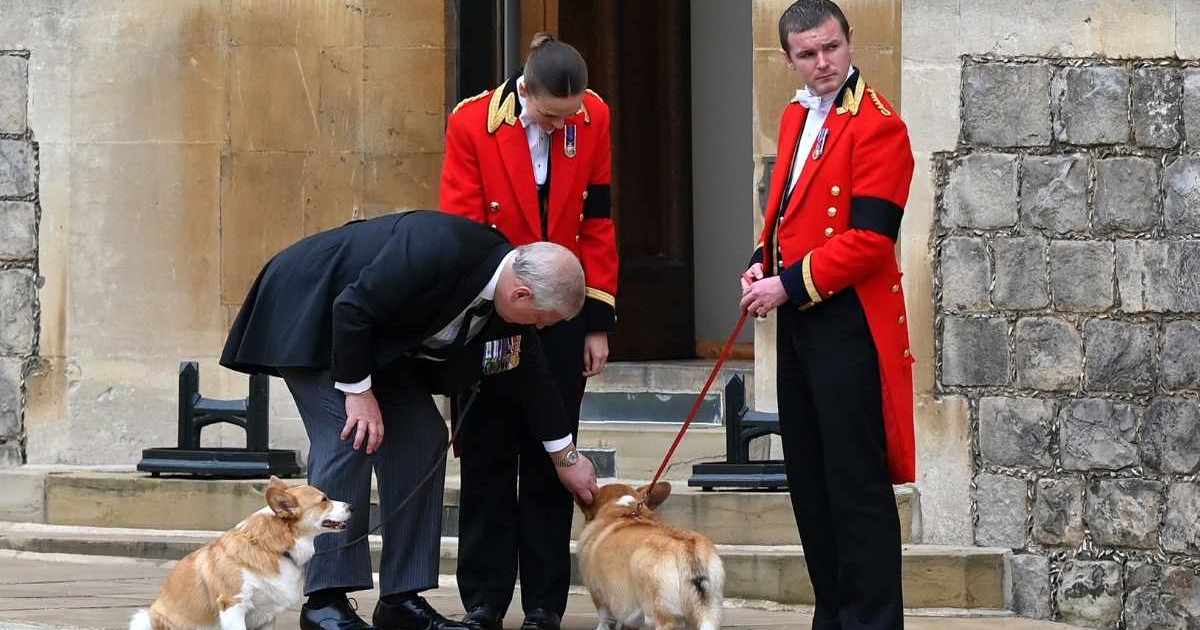 Ex-Prince Andrew Skips Walk With Only 2 Loyal Royal&hellip;