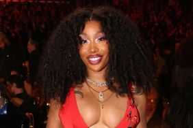 SZA’s Daring Outfit Hits a Little Too Bold in New Photo Drop