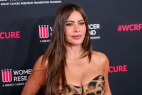 Sofia Vergara Elevates Plain Skirt With Sheer Laura Basci Corset Top