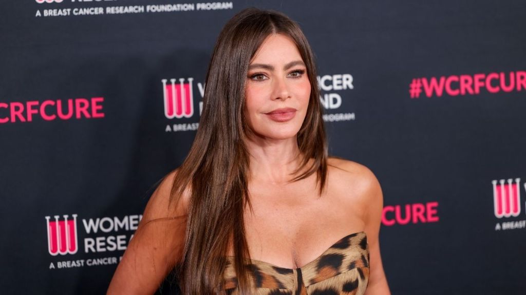 Sofia Vergara Elevates Plain Skirt With Sheer Laura Basci Corset Top