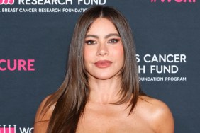 Sofia Vergara see-through dress America's Got Talent