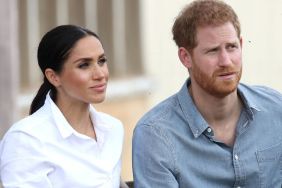 It's 'Sad' What Prince Harry & Meghan Markle Are Facing Now — Source