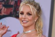 Britney Spears Shares Rare Snippets of Reunion With Sons After DUI Arrest