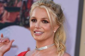 Britney Spears Shares Rare Snippets of Reunion With Sons After DUI Arrest
