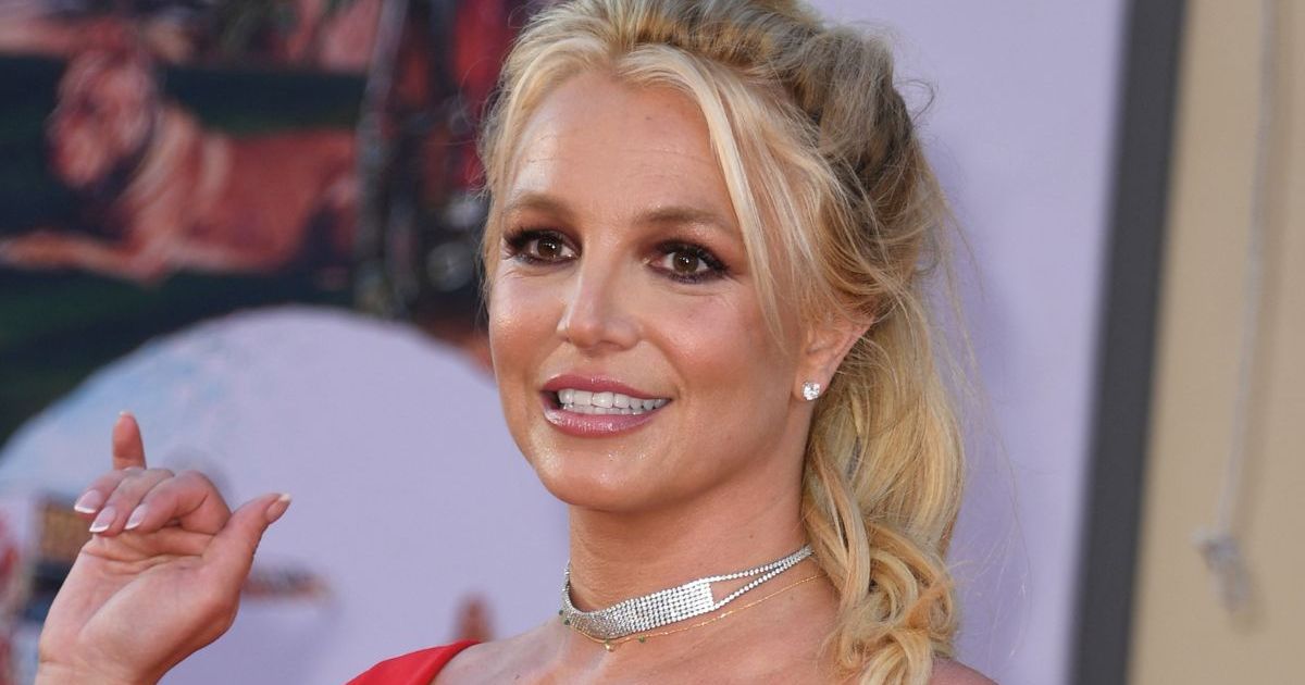 Britney Spears Shares Rare Snippets of Reunion With Sons After DUI Arrest