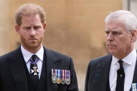 Expert Warns Prince Harry Not To Let Ex-Prince Andrew Scandal Stop Him