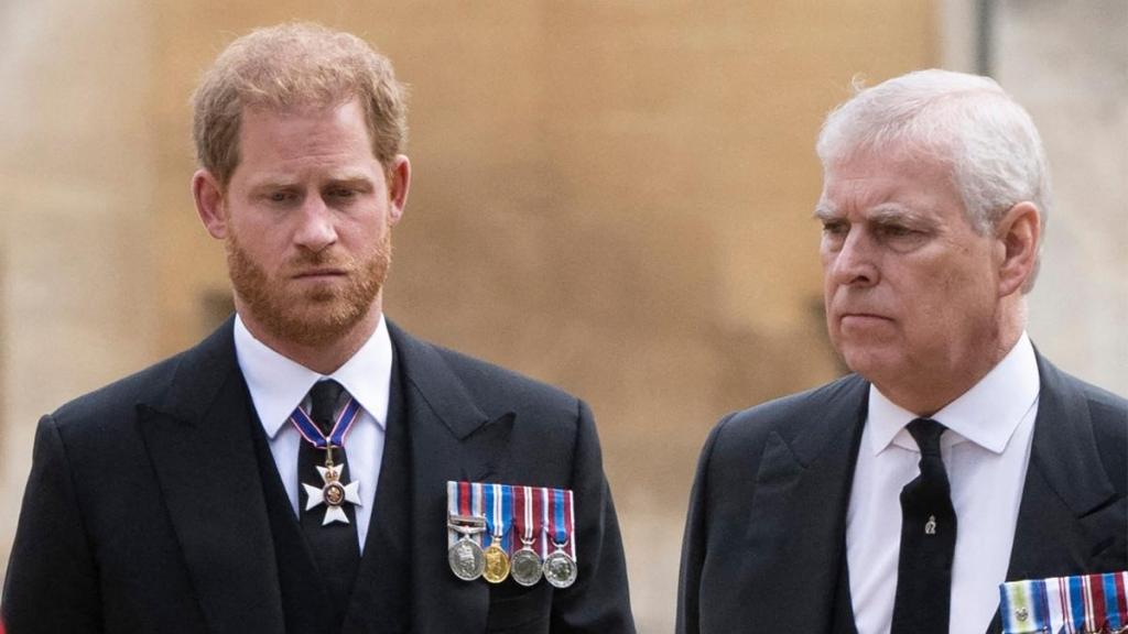 Expert Warns Prince Harry Not To Let Ex-Prince Andrew Scandal Stop Him