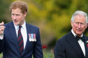 Prince Harry Is Secretly Hoping King Charles Will Take This Step — Source