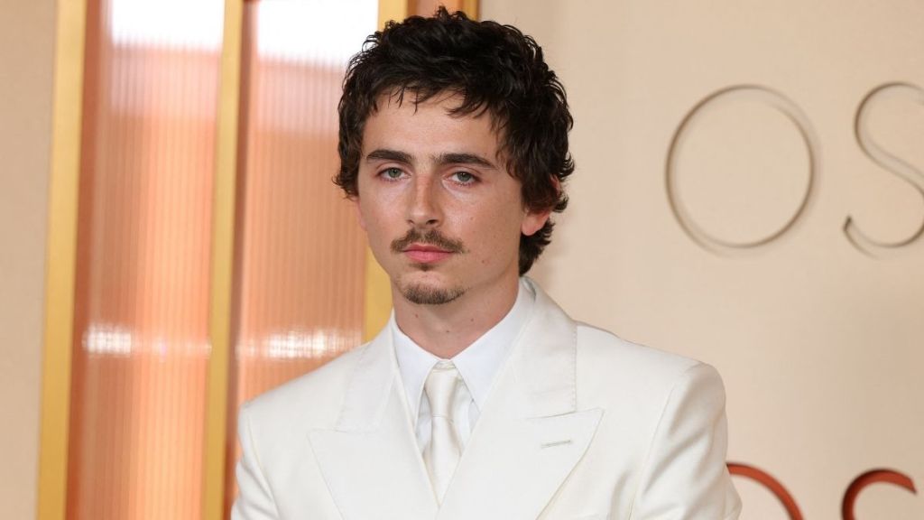 Timothee Chalamet's Behaviour Couldn't Win Oscar Votes — Source