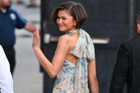 Zendaya's Alexander McQueen Dress Is Fully Sheer & Totally Spring-Coded