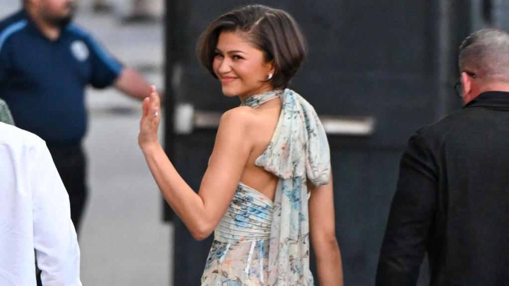 Zendaya's Alexander McQueen Dress Is Fully Sheer & Totally Spring-Coded