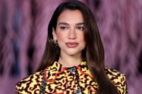 Dua Lipa Goes Boldly Chic in 'Kimono-Print' Roberto Cavalli Minidress