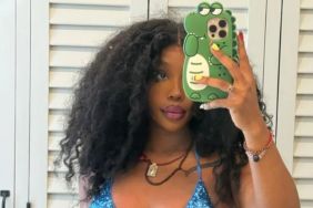SZA Keeps It Minimal in a Tiny String Bikini for a New Mirror Selfie