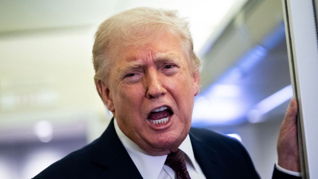 Donald Trump Rants About Supreme Court Justice Over Tariff Decision