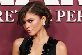 Zendaya Makes a Fitted Dress Feel Risky With a Daring Neckline at Premiere