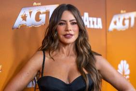 Sofia Vergara Turns Heads in Strapless Animal-Print Look Amid Press Run