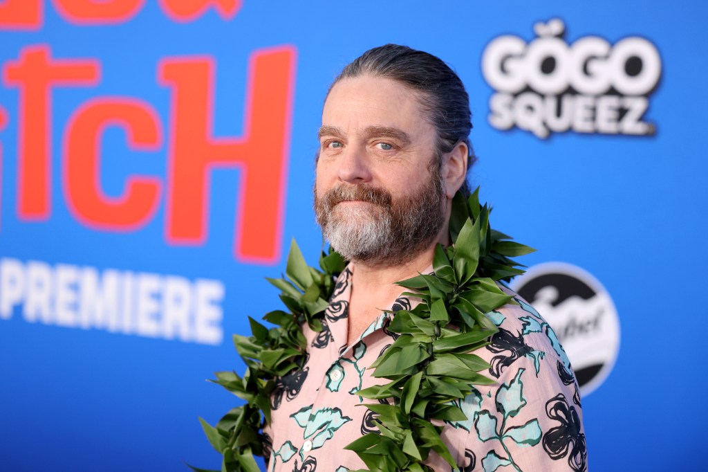 Zach Galifianakis Netflix show