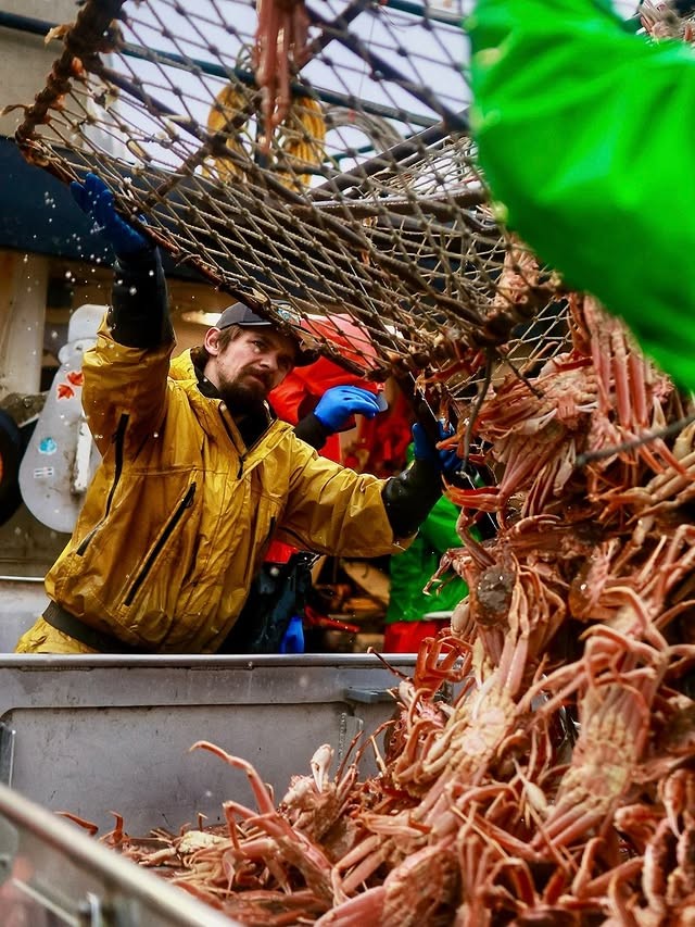 Todd Meadows from Deadliest Catch handling crabs on board a boat