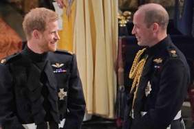 Prince Harry Feud 'Left a Huge Hole' for Prince William — Source