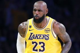 LeBron James Checks on Young Fan After Accidental Hit in NBA Game