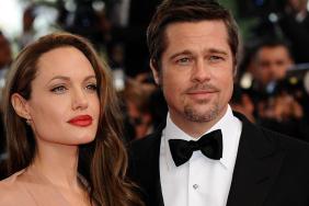 Brad Pitt Pushes Back Against Angelina Jolie in $164M Winery Case — Report