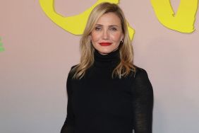Cameron Diaz's Fforme Dress Gets a Sheer Twist With High Neck Top