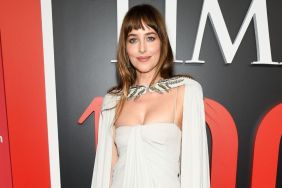 Dakota Johnson's High Slit Valentino Dress Hangs by Just 2 Strings