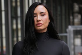 Demi Lovato Makes a Statement in Completely See-Through Look Amid Tour Performance