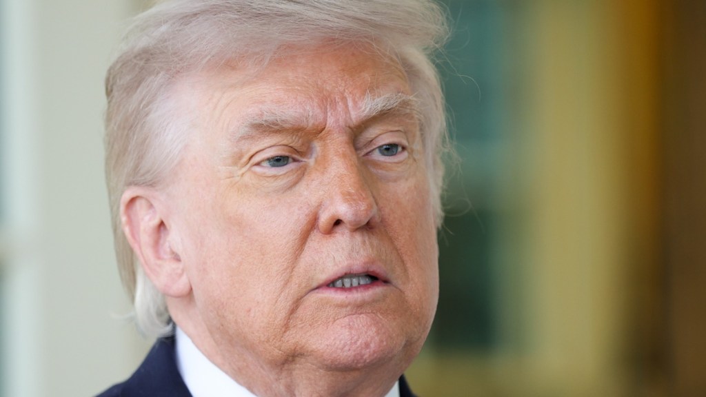 Donald Trump 25th Amendment House Democrats