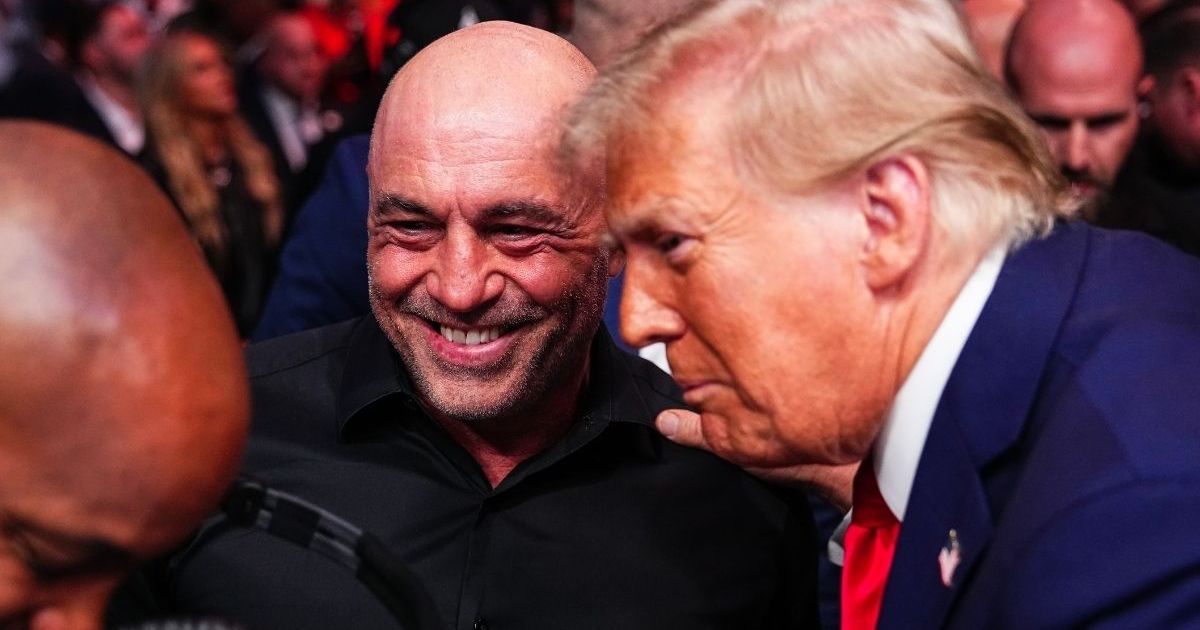 Donald Trump Called Joe Rogan ‘Very Liberal’