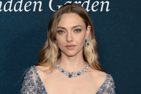 Amanda Seyfried's Oscar de la Renta Micro Minidress Is Fully See-Through