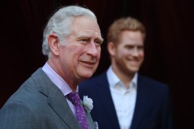 King Charles and Prince Harry