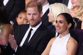 prince harry meghan markle