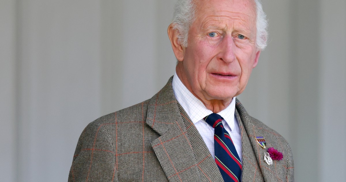 King Charles' Shocking Feline Fear Revealed - Report