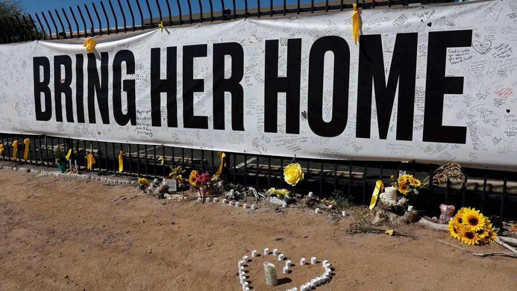 nancy guthrie kidnapper