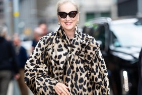 Meryl Streep's Chanel Skirt Suit Leans Heavily on Art & Fringe