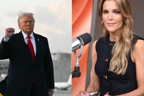 Megyn Kelly Calls Donald Trump 'Desperate for Attention' Over AI Jesus Photo