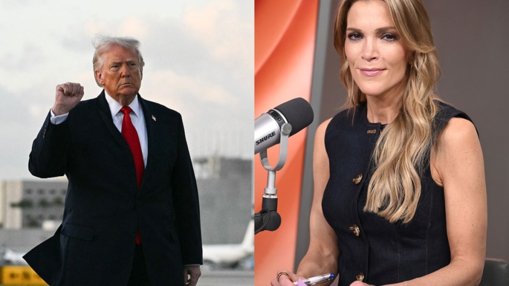 Megyn Kelly Calls Donald Trump 'Desperate for Attention' Over AI Jesus Photo