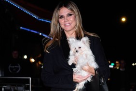 Heidi Klum's Sheer Maison Blanche Bodysuit Has One Too Many Cutouts