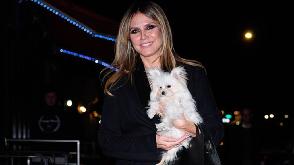 Heidi Klum's Sheer Maison Blanche Bodysuit Has One Too Many Cutouts